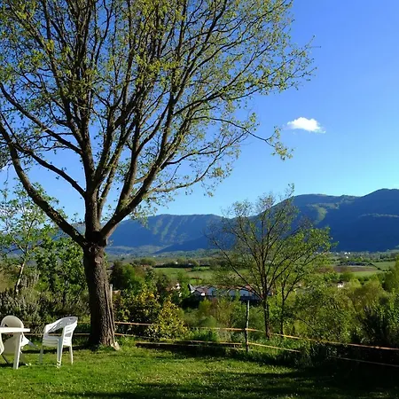 L'acero Campestre